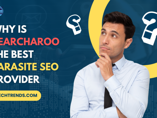 Why Is Searcharoo the Best Parasite SEO Provider?